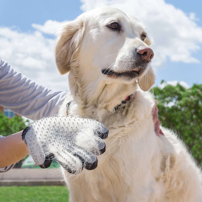 Guante para Cepillar y Masajear Mascotas InnovaGoods