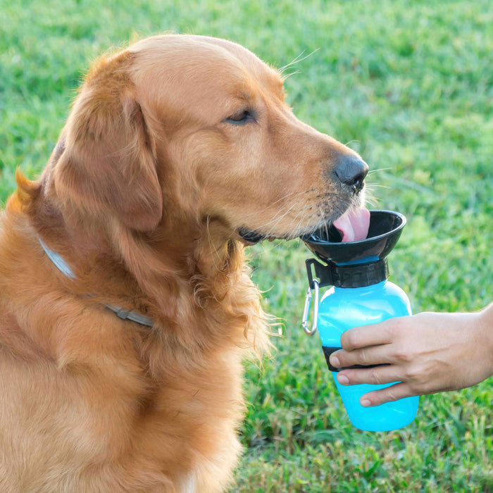 Botella Bebedero de agua para perros InnovaGoods